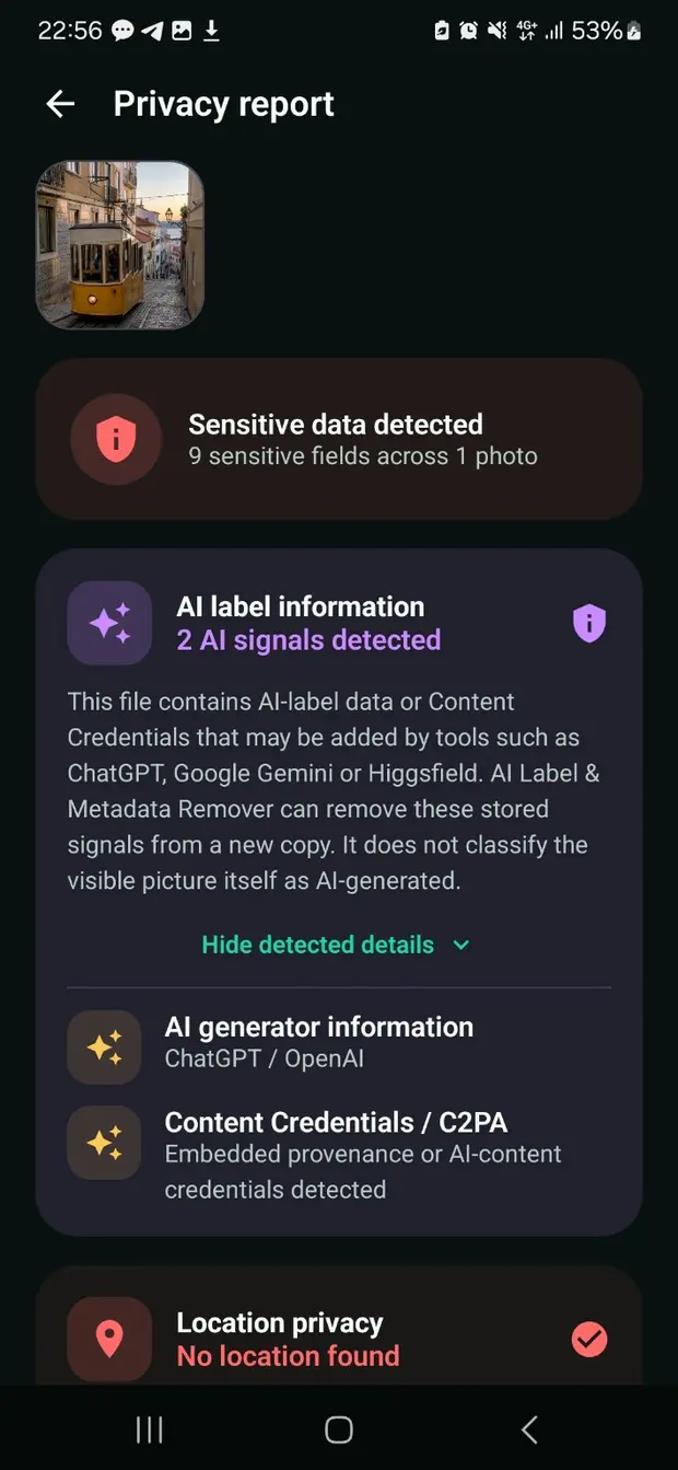 AI Label and Metadata Remover privacy report showing embedded AI signals